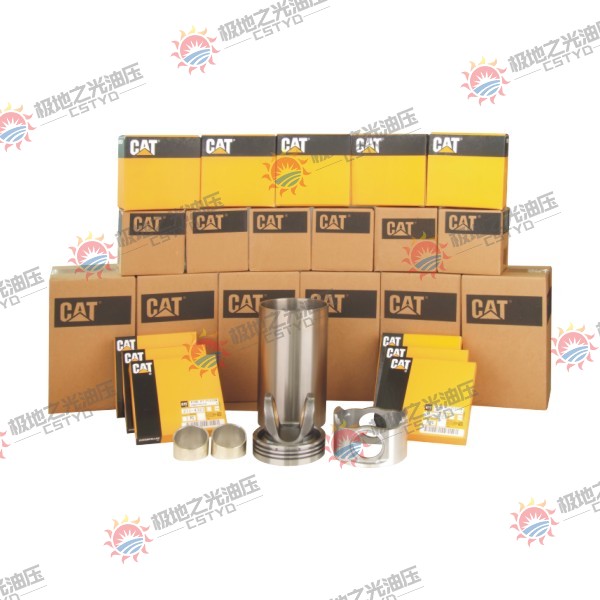 Caterpillar Liner Kit